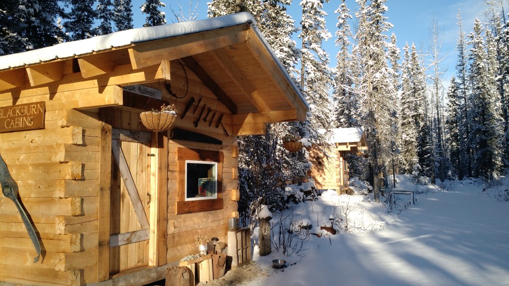 IMG_20151104_124407524 Blackburn Cabins in McCarthy, AlaskaBlackburn